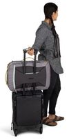 cumpără Rucsac sportiv Osprey Transporter Carry On Bag 36 Raven Blc/B (843820194609) în Chișinău 