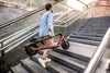 купить Самокат Segway Ninebot Kickscooter D18E в Кишинёве 