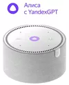 cumpără Boxă portativă Bluetooth Yandex YNDX-00021G Alisa Station Mini Gray în Chișinău 