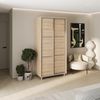 купить Шкаф my-STYLE C10H2T06BM03-U13, 100x220, дуб сонома в Кишинёве 