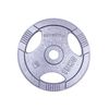 Disc metal cu manere 15 kg, d=30 mm inSPORTline Hamerton 12712 (1177) 