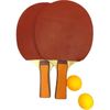 купить Теннисный инвентарь miscellaneous 10931 Palete tenis de masa 2+3 mingi 53099/54581 в Кишинёве 