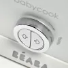 купить Кухонный комбайн Beaba B912737 Babycook Plus White Silver в Кишинёве 