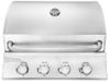 купить Мангал ArtFlame ERB400R pe gaz din otel inoxidabil в Кишинёве 