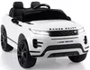 купить Электромобиль Richi RRE99/2 alba Range Rover Evoque в Кишинёве 