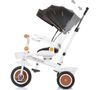 купить Велосипед-коляска Chipolino TRKMRT02402BW Marathon black/white в Кишинёве 