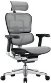 купить Офисное кресло ART Ergohuman Elite 2 BL Natural T-168-B2 EHE2-AB-HAM-5D-L в Кишинёве 