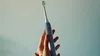 cumpără Periuță de dinți electrică Philips HX4022/04 Sonicare 2100 în Chișinău 