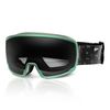 купить Маска лыжная Spokey Grays Goggles, 92669x в Кишинёве 