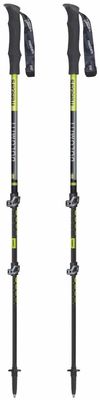 cumpără Bețe pentru trekking Masters DOLOMITI (01S4219) în Chișinău 