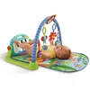 купить Игровой комплекс для детей Fisher Price BMH49 Covoras cu activitati в Кишинёве 