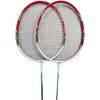 cumpără Echipament pentru badminton Spartan 3615 Palete badminton 2079 (2buc) în Chișinău 