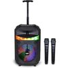 cumpără Boxă portativă Bluetooth Bontempi 491070 Беспроводная колонка с микрофоном и подсветкой în Chișinău 