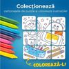 cumpără Joc educativ de masă miscellaneous 079763 Cartonașele Buboo 3în1, pentru Băieței, ro în Chișinău 
