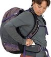 купить Туристический рюкзак Osprey Hikelite 28 Graphite Purple (810165747685) в Кишинёве 