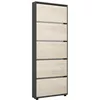 купить Полка для обуви Mobildor-Lux Leo Slim 100x16x203H cm Anthracite/Sonoma в Кишинёве 