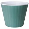 cumpără Ghiveci pentru flori Aleana 114034 Ibis cu fund dublu 15,7x13,0cm, green / white în Chișinău 