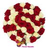 Buchet  de 51 Trandafiri albi-rosii Ecuador 50-60 cm