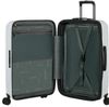 купить Чемодан Samsonite 2wander 69/25 TSA Exp Gri Deschis (159910/B011) в Кишинёве 