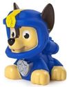 купить Аксессуар для купания Paw Patrol 6058528 Bath Squirter в Кишинёве 