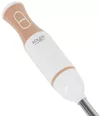 cumpără Blender de mână Adler AD 4616 în Chișinău 