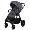 купить Детская коляска Lionelo Carucior 2in1 Layla Grey Stone в Кишинёве 