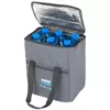 купить Сумка холодильник Noveen LBB3 Thermal Bag в Кишинёве 