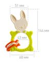 купить Игрушка-прорезыватель Roxy Kids RBT-001GN BUNNY зеленый в Кишинёве 
