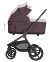 cumpără Сărucior pentru copii Kikka Boo 31001020173 Carucior 2in1 Goya Platinum Merlot în Chișinău 