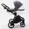 купить Детская коляска Adamex BIBIONE TIP PS-77 в Кишинёве 