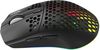 купить Игровая мышь Tracer GAMEZONE Intense RGB Honeycomb RF (2.4G+BT) в Кишинёве 