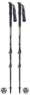 cumpără Bețe pentru trekking Masters EIGER (01S2319) în Chișinău 