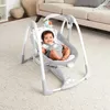 купить Детское кресло-качалка Bright Starts 12322 Leagan portabil Ingenuity ConvertMe Swing 2 Seat Wimberly в Кишинёве 