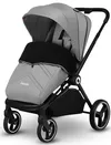 купить Детская коляска Lionelo Mika 2in1 Grey Stone в Кишинёве 