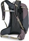 купить Туристический рюкзак Osprey Hikelite 28 Graphite Purple (810165747685) в Кишинёве 