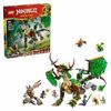 купить Конструктор Lego 71859 The Dragon of Life в Кишинёве 