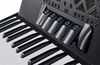 купить Цифровое пианино Startone Piano Accordion 72 Black MKII в Кишинёве 