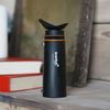 cumpără Binoclu Levenhuk New Wise PLUS 10x42 Monocular în Chișinău 