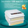 Инкубатор яичный Евро-120, автоматический на 120 куриных яиц, 2-х уровневый, 80Вт