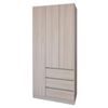 купить Шкаф Smartex (15867) N15 100cm Kashemir+St.Deschis в Кишинёве 