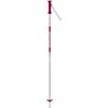 купить Лыжные палки Rossignol Electra Jr Pink 100 (RDJ6000) в Кишинёве 