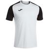 cumpără Îmbrăcăminte sport Joma T-Shirt Academy IV (S) 101968.201 în Chișinău 