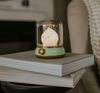 купить Ночной светильник Mary’s MW61048 LED Green Flame в Кишинёве 