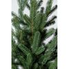 cumpără Brad artificial Promstore 57952 Lapland, ace turnate, 110cm, in ghiveci, PE în Chișinău 