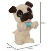купить Мягкая игрушка Hasbro 28144J Furreal My Jumping Pug Interactive Toy в Кишинёве 