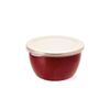 cumpără Container alimentare Metalac 51748 эмалированный Bordo 16cm, 1.7l, крышка пластик în Chișinău 