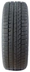 купить Шина Sunwide 185/65 R15 Snowide 88T в Кишинёве 