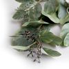 cumpără Plantă artificială Deco Ramura decorativa de Eucalipt în Chișinău 