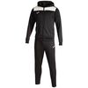 купить Одежда для спорта Joma Phoenix II Tracksuit Black White (XL) 103121.102 в Кишинёве 