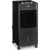 cumpără Răcitor de aer OneConcept Freshboxx Black în Chișinău 